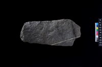 藏品(打製石斧)的圖片