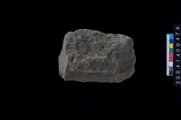 藏品(打製石斧)的圖片