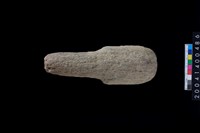 藏品(石杵)的圖片