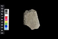 藏品(打製石斧)的圖片