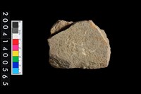 藏品(打製石刀)的圖片