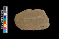 藏品(打製石斧)的圖片