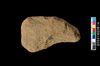 藏品(打製石斧)的圖片