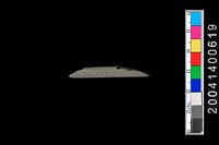 藏品(石錐)的圖片