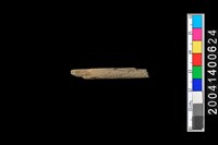 藏品(石錐 )的圖片