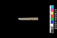 藏品(石錐 )的圖片