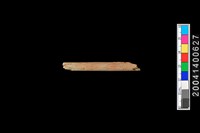 藏品(石錐 )的圖片