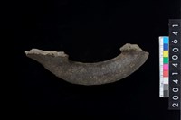 藏品(橫把)的圖片