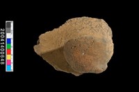 藏品(鈕把)的圖片