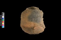 藏品(鈕把)的圖片