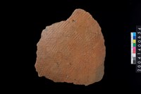 藏品(繩紋腹片)的圖片