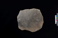 藏品(腹片)的圖片