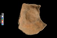 藏品(底部)的圖片