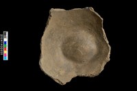 藏品(底部)的圖片