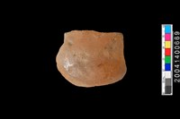 藏品(底部)的圖片