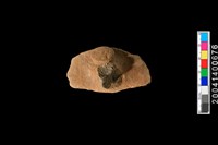 藏品(陶把)的圖片