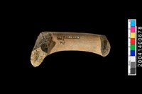 藏品(豎把)的圖片