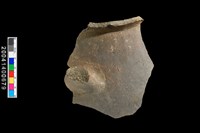 藏品(硬陶片)的圖片