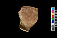 藏品(腹片)的圖片