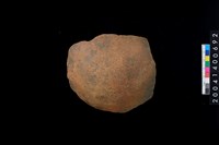 藏品(腹片)的圖片