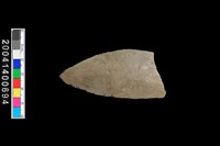 藏品(腹片)的圖片