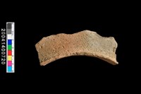 藏品(罐口緣)的圖片