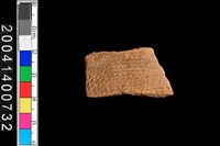 藏品(腹片)的圖片