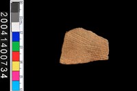 藏品(腹片)的圖片