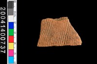 藏品(腹片)的圖片