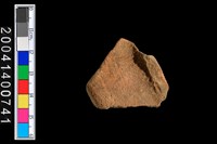 藏品(腹片)的圖片