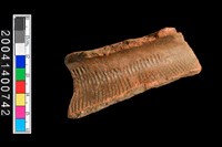 藏品(頸折)的圖片