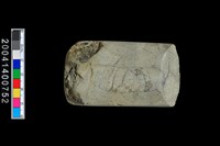 藏品(石錛)的圖片