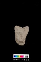 藏品(打製石斧)的圖片