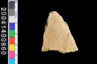 藏品(獸骨)的圖片