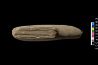 藏品(有槽石棒)的圖片