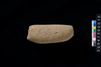 藏品(石錘)的圖片