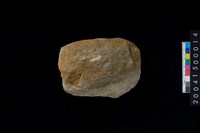 藏品(打製石斧)的圖片