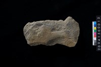 藏品(打製石斧)的圖片