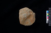 藏品(打製石斧殘件)的圖片