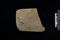 藏品(磨製石斧殘件)的圖片