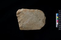 藏品(磨製石斧殘件)的圖片