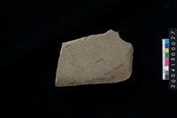 藏品(打製石斧殘件)的圖片