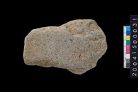 藏品(磨製有肩石斧)的圖片