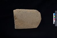 藏品(磨製石斧殘件)的圖片