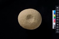 藏品(石錘)的圖片