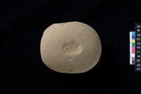 藏品(石錘)的圖片