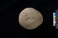 藏品(石錘)的圖片