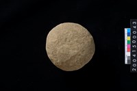 藏品(石錘)的圖片