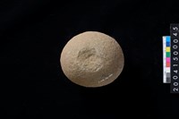 藏品(石錘)的圖片