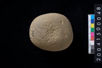 藏品(石錘)的圖片